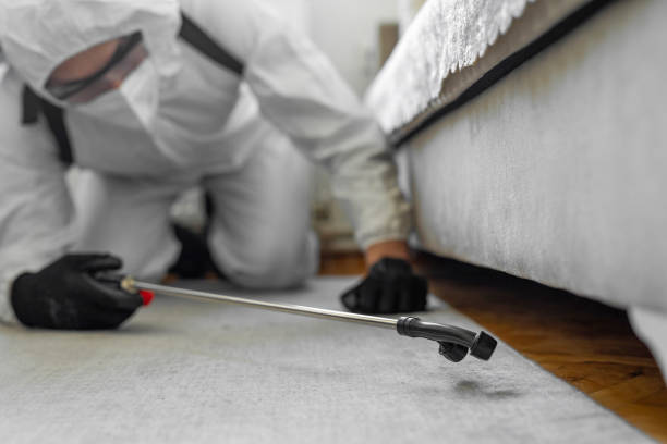 Professional Bed Bug Control technician working in Okarche, OK