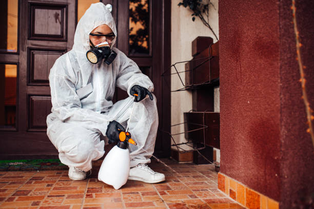 Reliable Bed Bug Control contractor in Okarche, OK by Nex Pest Control