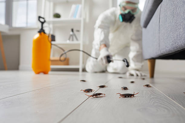 Trusted Termite Control service in Okarche, OK - Nex Pest Control
