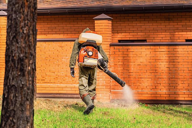Trusted Rodent Control service in Okarche, OK - Nex Pest Control